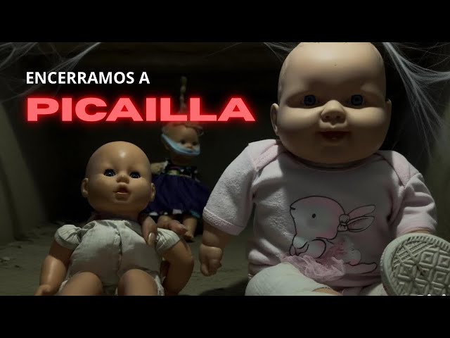 WE IMITATED PICAILLA | Baldheads with shampoo