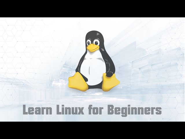 Learn Linux for Beginners