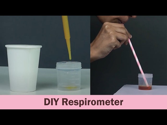 DIY Respirometer | DIY Science | ThinkTac