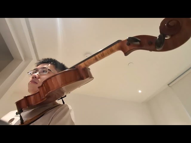 Mozart String Quartet No. 14 in G Major, K. 387 - Mov 1 Violin 1 part 