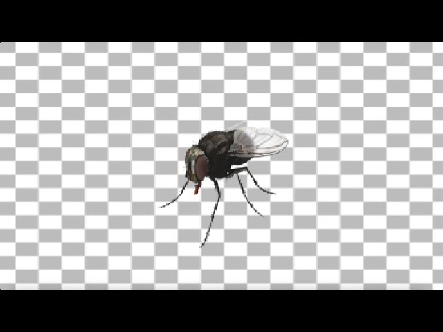 mixing method that turns you into an insect
