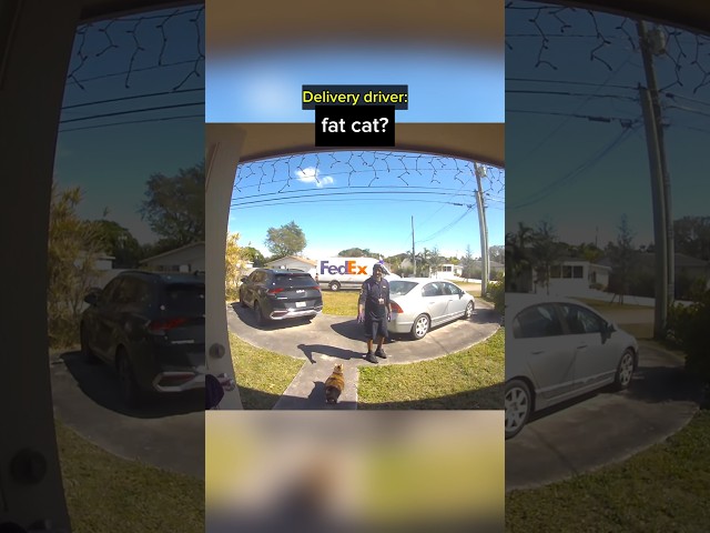 Fedex Driver Gets an Unexpected Surprise from Home Owner's Cat...