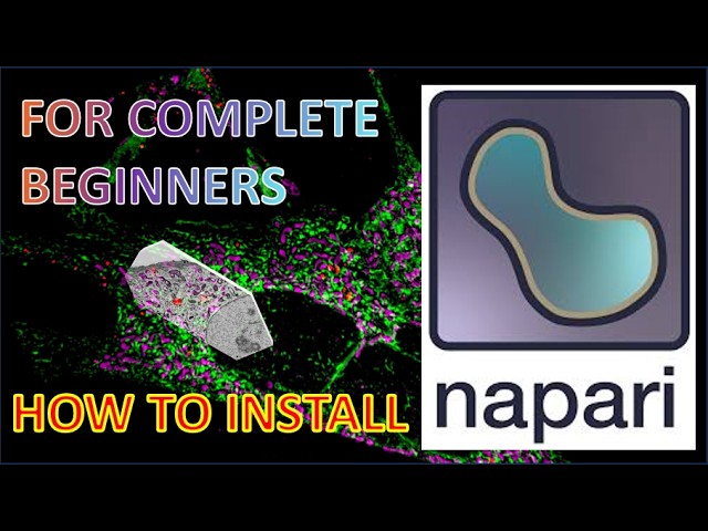 How to install Napari plugins ? An open source solution for CLEM image analysis