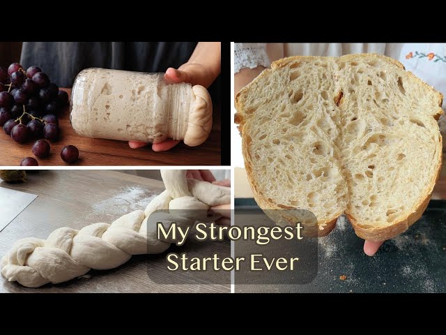 My Strongest Starter Ever – Made from Grape Must! Naturally, Ideal for All Breads and Sweets