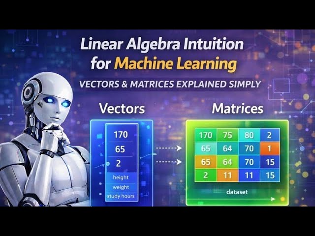 linear algebra intuition for machine learning | vectors & matrices explained simply #machinelearning
