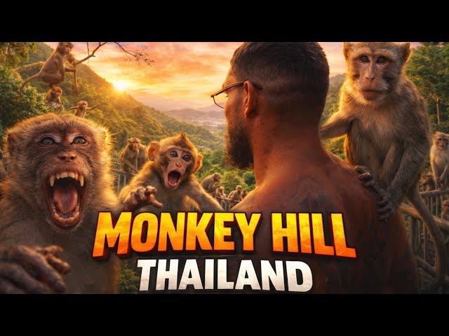 LEWIS EL ELEGIDO - TRAINING CAMP #1