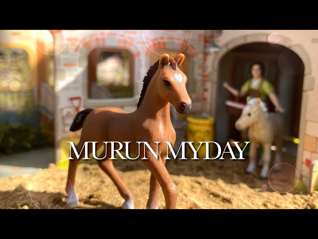 MURUN MYDAY