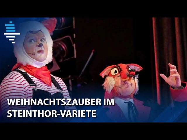 Seit über 30 Jahren der Renner - Herr Fuchs im Steintor