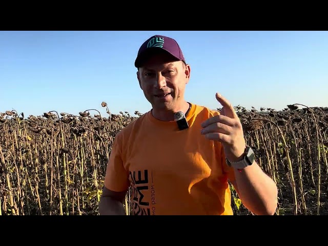 NEW 🆕Sunflower seeds SUPREME (Sumo)🌻Oleic acid 90%🐝Order ⤵️☎️