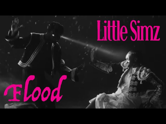 Little Simz - Flood (Official Music Video)