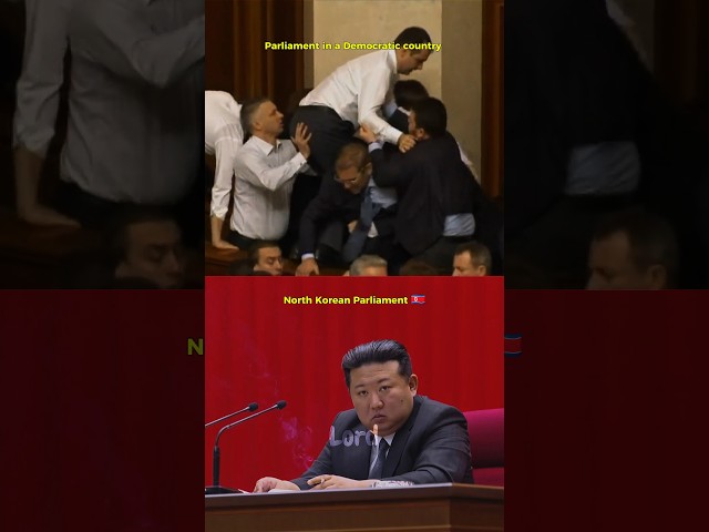 Democratic Parliament and Dictatorship Parliament? 😮