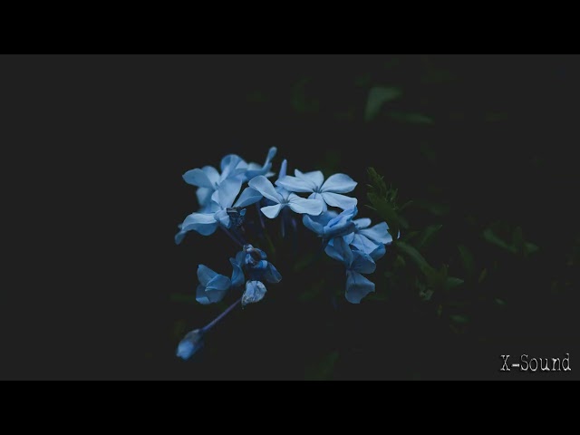 FUTURE GARAGE/WAVE MIX [SUMMER IX]