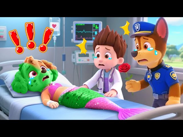 ¿Qué le pasó a Skye?! Doctor Ryder, por favor, ayuda. ¡Chase, no llores! | PAW Patrol en Español