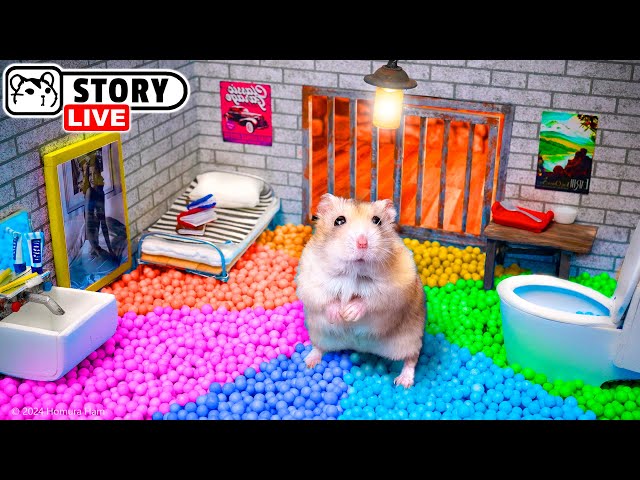 Epic Escape of Hamster Robber from the Prison Maze 🐹 Homura Ham