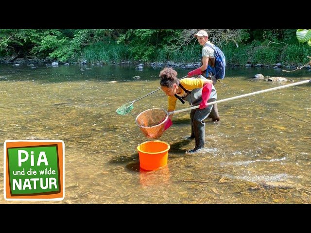 Barfuß im Bach | Reportage für Kinder | Pia und die wilde Natur