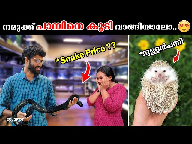 തിരുവനന്തപുരത്ത് മുള്ളൻപന്നി മുതല്‍ പാമ്പ് വരെയുള്ള ഒരു കട | Pet Snake Selling Shop in Trivandrum