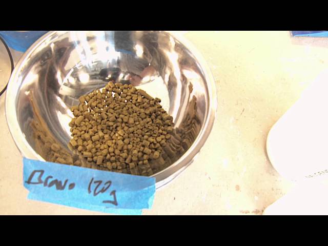 The science of brewing - Virginia Tech