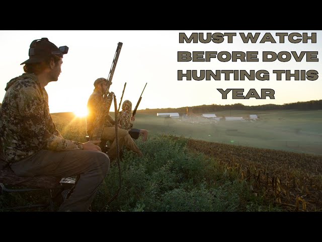 A Complete Guide to Dove Hunting (gear, tips, tactics, techniques and more...)