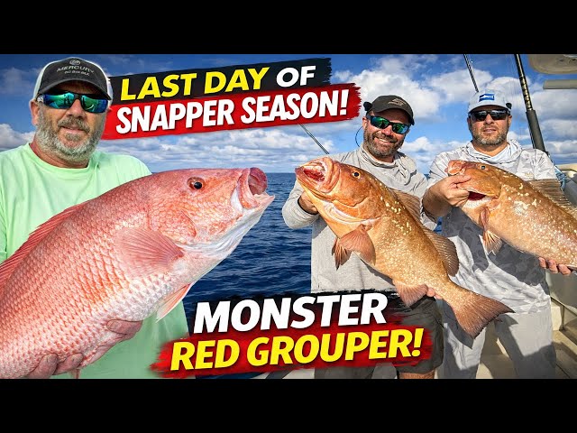 LAST DAY of Red Snapper Season in the Gulf of America | MONSTER Red Grouper Caught!