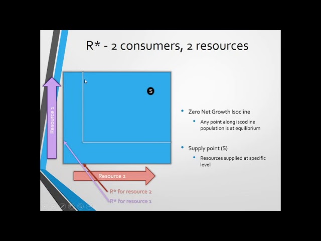 09C - Tilman's R* Consumer-Resource competition model