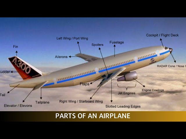 Airplane Anatomy: Parts and Functions Explained