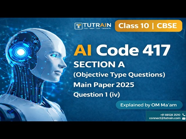 AI Code 417 | 2025 Paper Solution | Question 1 (iv) | CBSE Class 10