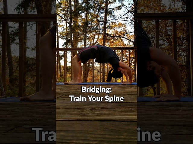 BODYWEIGHT BRIDGE: Tutorial