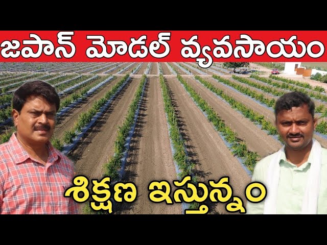 15 gardens in 83 acres | Japan Model Farming | Rythu Badi