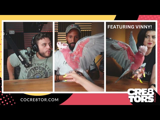 My Parrot talks on a Podcast and takes over!!! 💬 Talking Parrot Subtitles