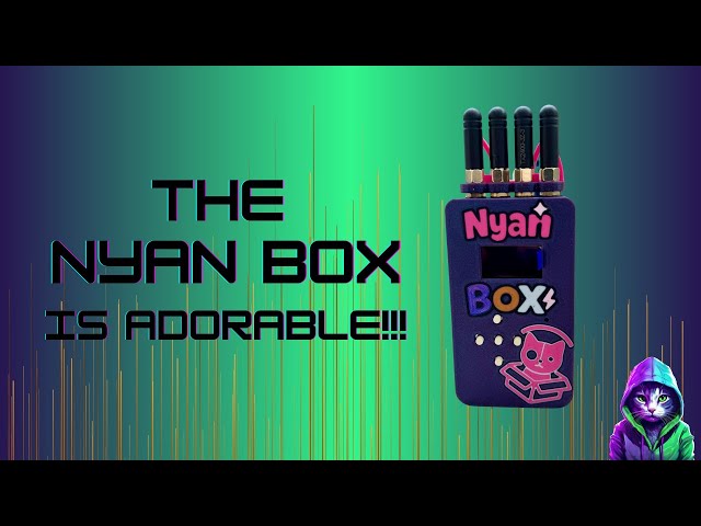 Meet The NyanBox. The Most Adorable Hacking Tool I Own!