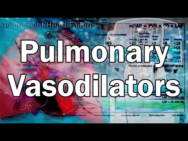 Pulmonary Hypertension and Pulmonary Vasodilators - Basic Science and Therapeutics