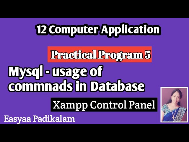 12th computer application - Practical program 5 - Mysql usage of commanda database
