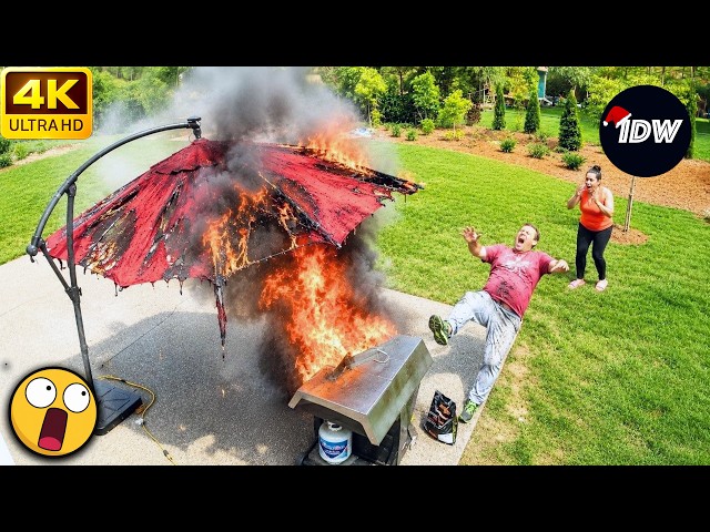 TOTAL IDIOTS AT WORK | Instant Regret Fails Compilation 2026 | Best Fails of the Week #255