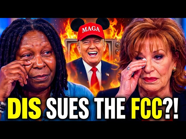 Disney Just SUED the FCC to Save THE VIEW?!