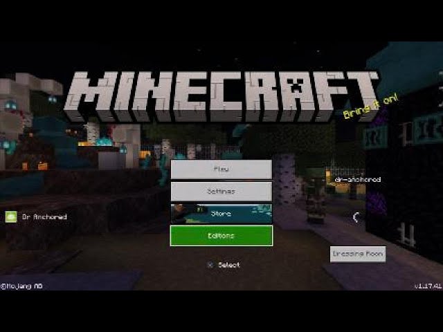 MINECRAFT 2.33/1.17.41 UPDATE OUT NOW!