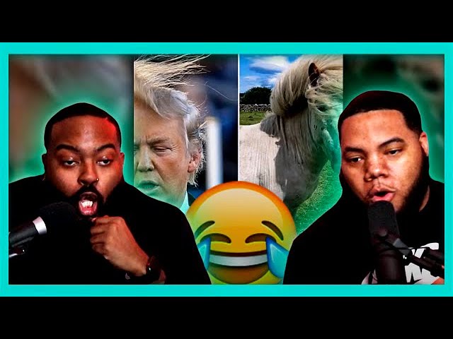 "LOOK AT THIS DUDE" ROAST COMPILATION | TRY NOT TO LAUGH