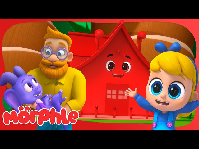 Helping animals find new homes 🏠✨ Cartoons for Kids | Mila and Morphle