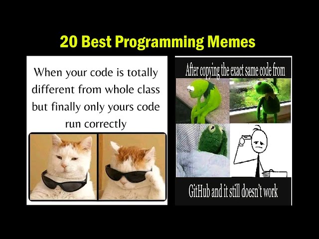 20 Best Programming Memes Ever !