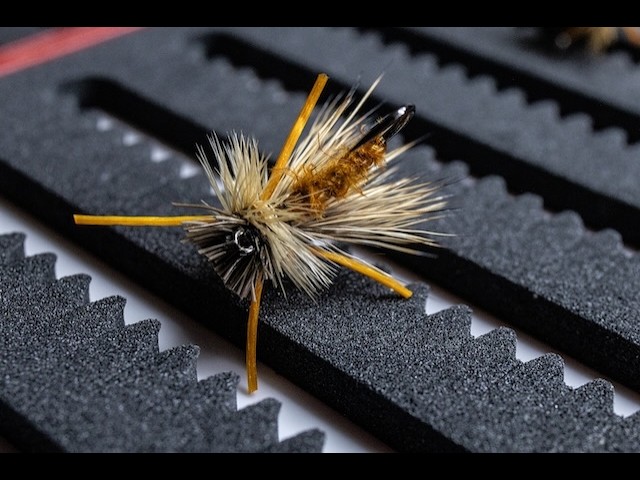 Simons Summer Searching Caddis: Fantastic Late Summer Attractor Dry