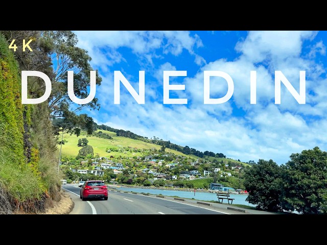 Dunedin New Zealand Driving Tour 4K | Otago Peninsula to Dunedin City Centre Scenic Seaside Drive