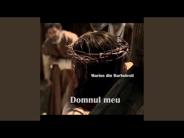 Domnul meu (Original)