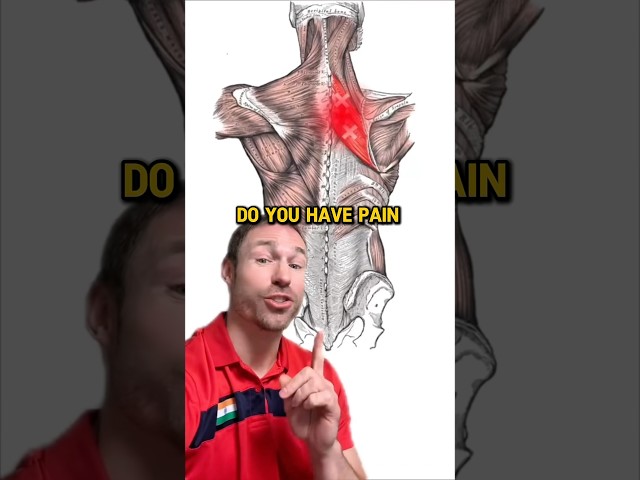 Fix Neck & Mid-Back Pain FAST! 😳