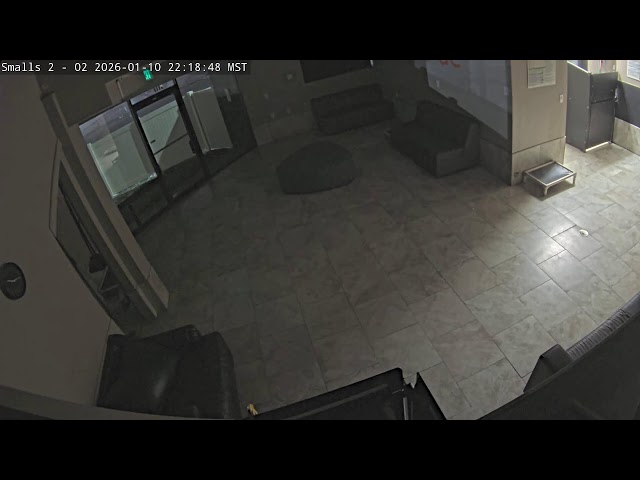 DogMode: Small Dogs Inside #1