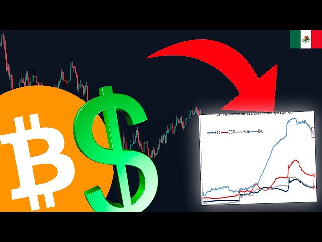 ESTE GRÁFICO LO CAMBIA TODO PARA EL BITCOIN