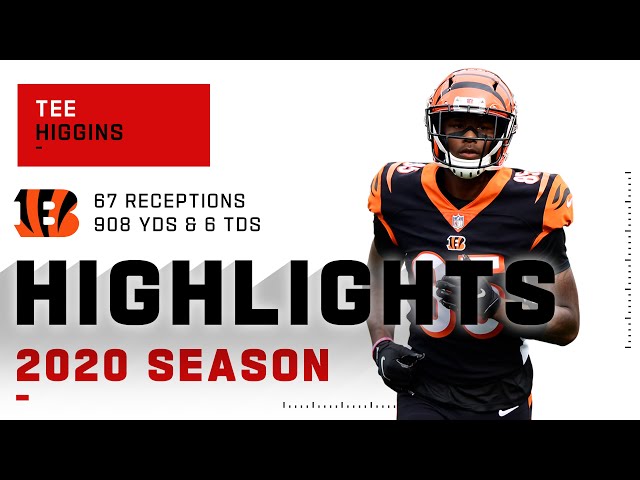 Tee Higgins Full Rookie Season Highlights | NFL 2020