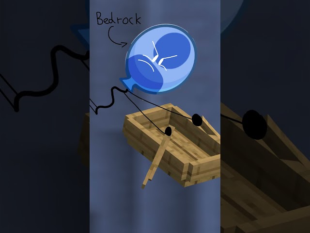 Bedrock vs Java in Minecraft be like