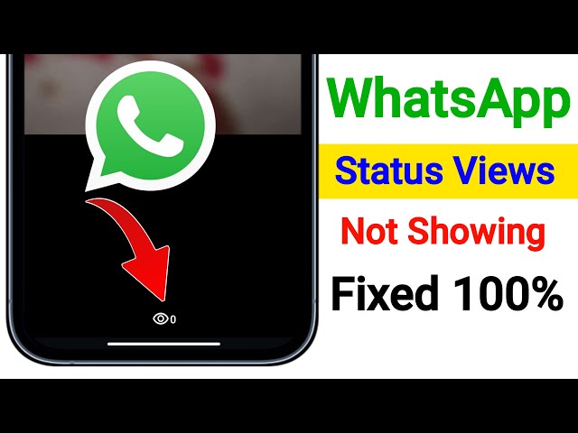 WhatsApp Status Views Not Showing Problem | How to Fix WhatsApp Status Views Not Showing Problem
