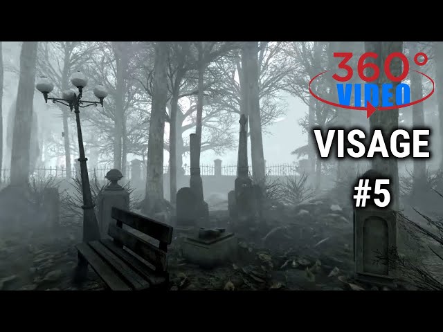 360° VR VIDEO - Visage #5