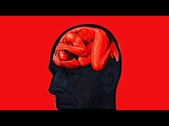 How to Control your Brain ( before it's TOO late )