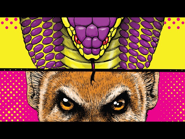He Helped the Cobra Who Wanted Him Dead | VeeFriends Comic Book Full Dub